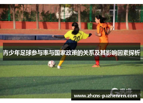 青少年足球参与率与国家政策的关系及其影响因素探析
